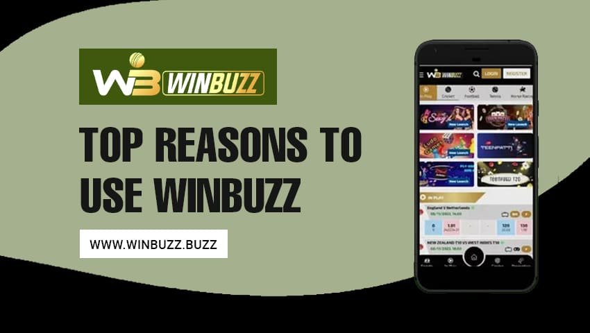 Read more about the article Reasons to Use Winbuzz