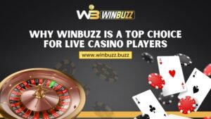 Why Winbuzz is a Top Choice for Live Casino Players