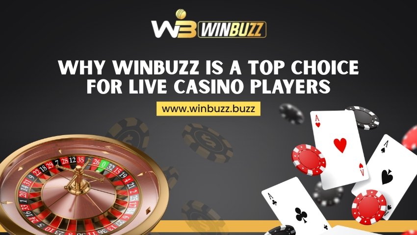 You are currently viewing Why Winbuzz is a Top Choice for Live Casino Players