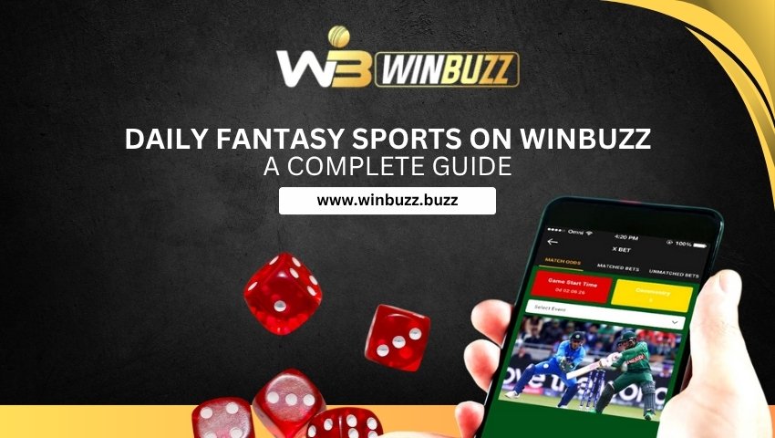 Read more about the article Daily Fantasy Sports on Winbuzz: A Complete Guide
