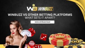 Read more about the article Winbuzz vs Other Betting Platforms: What Sets It Apart?