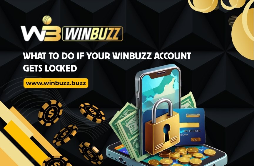 Read more about the article What to Do If Your Winbuzz Account Gets Locked